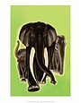 Art Deco Elephant