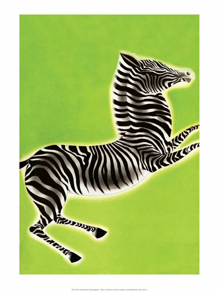 Zebra