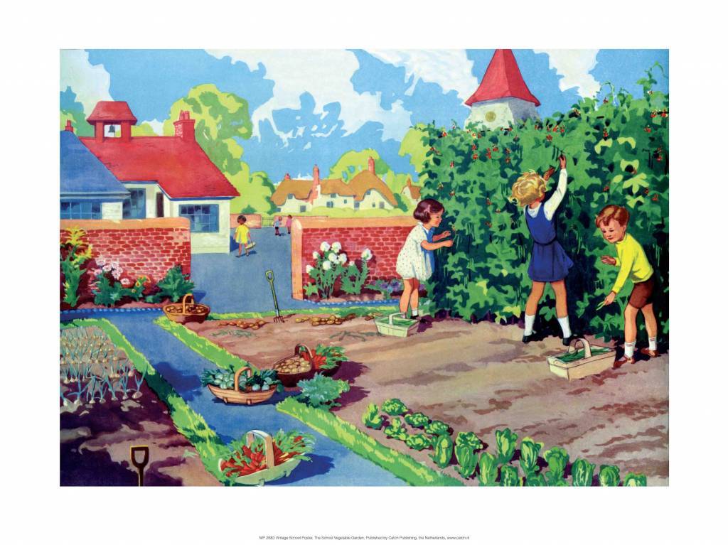 Vintage Classroom Poster - Vegetable Garden