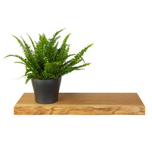 Eiken wandplank met boomkant