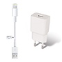 2A lader + 0,2m kabel met Lightning connector geschikt voor Apple iPhone, iPad, iPod en Accessoires