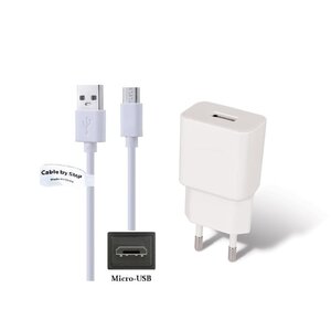 2A lader + 0,5m Micro USB kabel