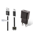 2A lader + 0,25m Mini USB kabel geschikt voor onder andere Garmin, Medion, Mio, Texas Instruments, TomTom