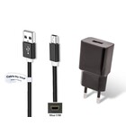 2A lader + 2,0m Mini USB kabel geschikt voor onder andere Garmin, Medion, Mio, Texas Instruments, TomTom