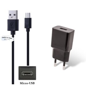 2A lader + 0,25m Micro USB kabel