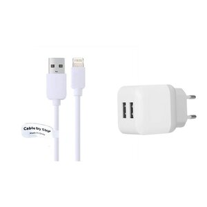 2.1A lader met 2 poorten + 1,0m kabel met Lightning connector geschikt voor Apple iPhone, iPad, iPod en Accessoires