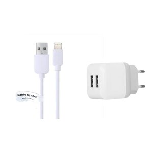 2.1A lader met 2 poorten + 2,0m kabel met Lightning connector geschikt voor Apple iPhone, iPad, iPod en Accessoires