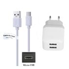 2.1A lader met 2 poorten + 0,25m Micro USB kabel