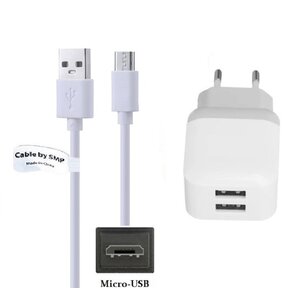 2.1A lader met 2 poorten + 0,25m Micro USB kabel