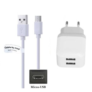 2.1A lader met 2 poorten + 0,5m Micro USB kabel