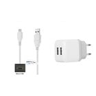 2.1A lader met 2 poorten + 1,0m Micro USB kabel