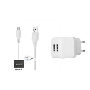 2.1A lader met 2 poorten + 1,0m Micro USB kabel
