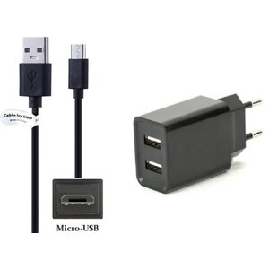 2.1A lader met 2 poorten + 0,5m Micro USB kabel