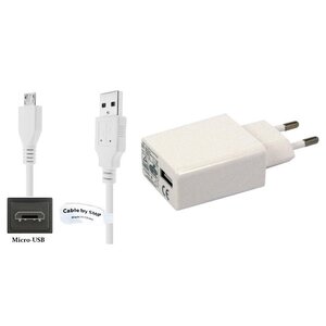 2A lader + 0,3m Micro USB kabel