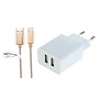 Oplader met 2 poorten + 2,0m USB kabel met Lightning connector geschikt voor Apple iPhone, iPad, iPod en Accessoires