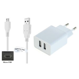 Oplader met 2 poorten + 0,5m Micro USB kabel