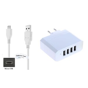 Oplader met 4 poorten + 2,5m Micro USB kabel