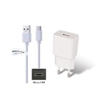 2A lader + 2,0m Micro USB kabel