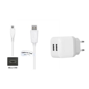 2.1A lader met 2 poorten + 0,9m Micro USB kabel