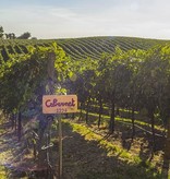 Cavazza Cicogna Cabernet Colli Berici 2019