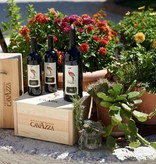 Cavazza Cicogna Cabernet Colli Berici 2019