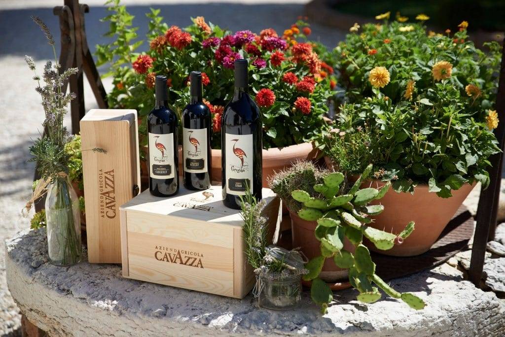 Cavazza Cicogna Cabernet Colli Berici 2019