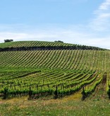 Herdade do Rocim Mariana Tinto 2023