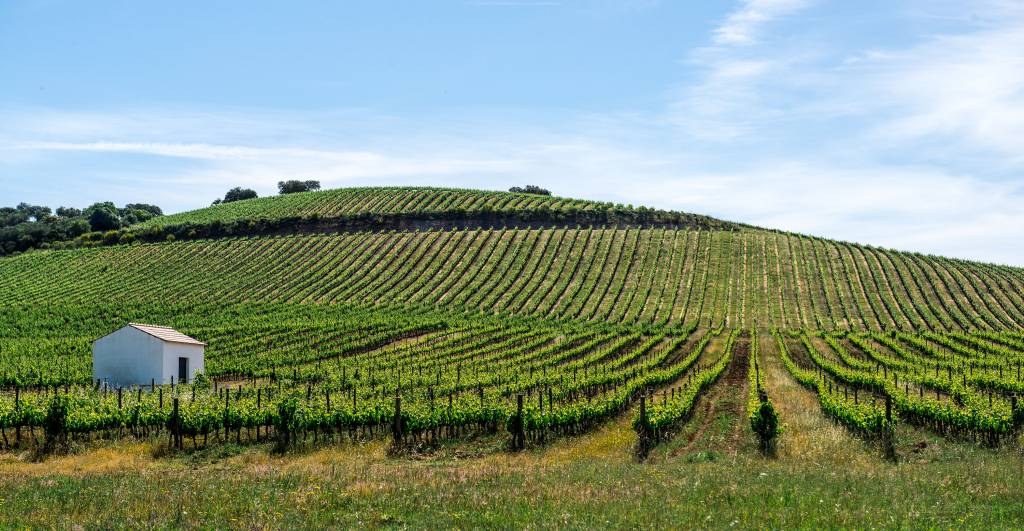 AANBIEDING | Herdade do Rocim Mariana Tinto 2024