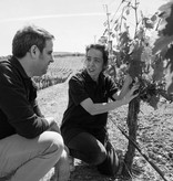 Herdade do Rocim Goivo Vinho Verde 2024