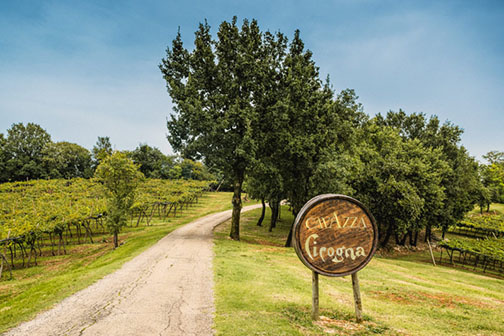 Azienda Agricola Cavazza