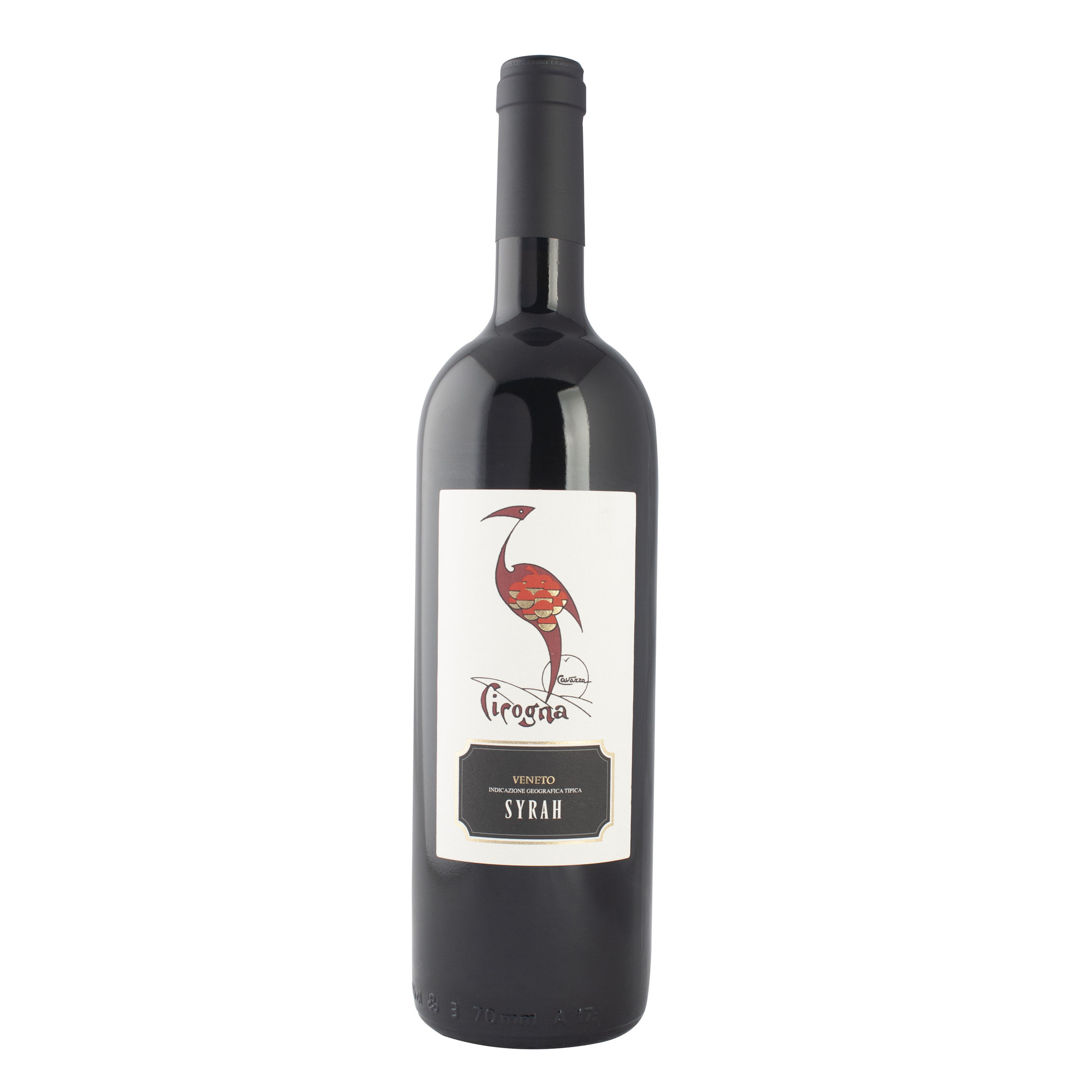 Cavazza Cicogna Syrah Colli Berici 2017 - MAGNUM