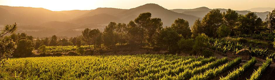 Abadal Picapoll 2023