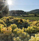 Domaine Roche Audran César Rouge 2021