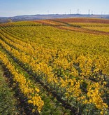Weingut Becker Landgraf J2 Riesling Trocken 2024
