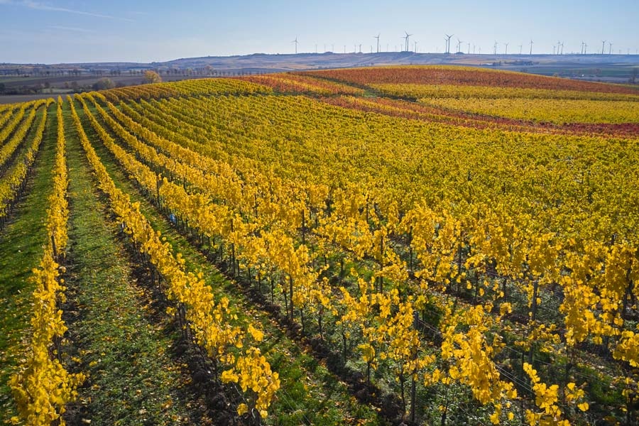 Weingut Becker Landgraf J2 Riesling Trocken 2024