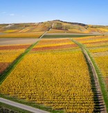 Weingut Becker Landgraf J2 Riesling Herrgottspfad 2021