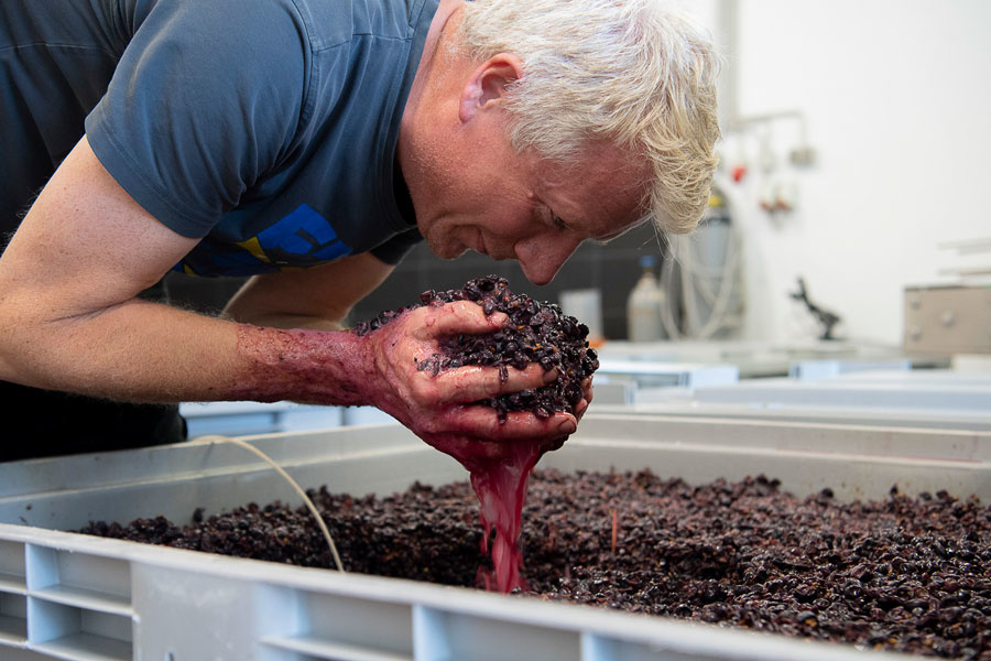 Becker Landgraf J2 Spätburgunder Gau-Odernheimer 2023