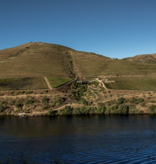 Quinta do Vallado Douro Branco 2022