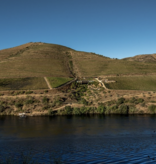 Quinta do Vallado Touriga Nacional 2022