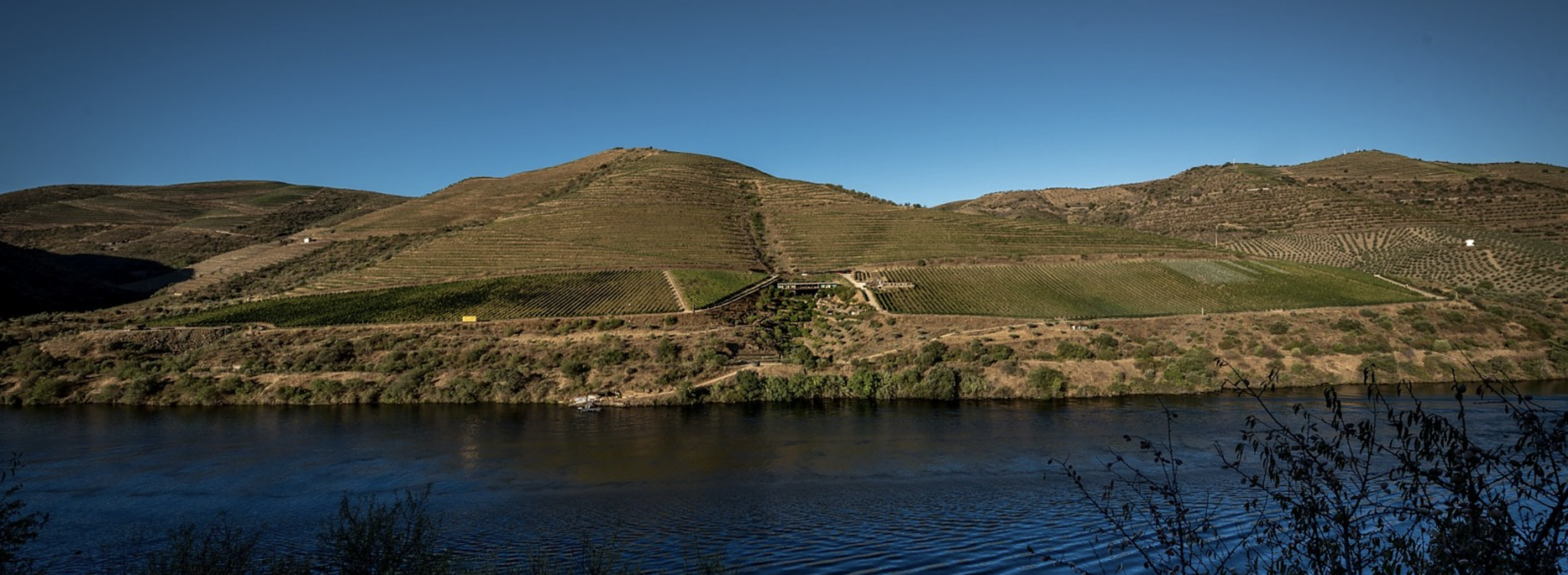 Quinta do Vallado Touriga Nacional 2022