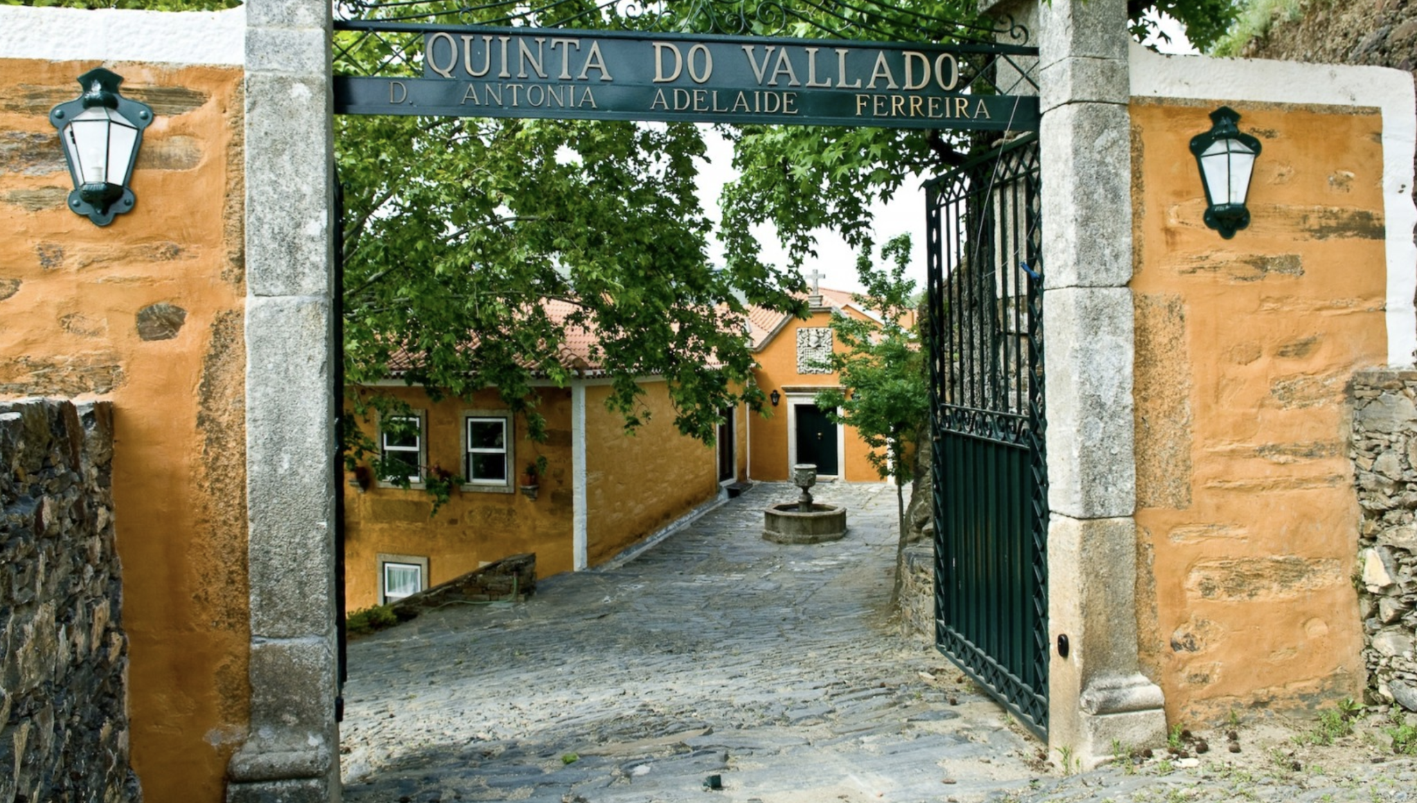 Quinta do Vallado Sousão 2020