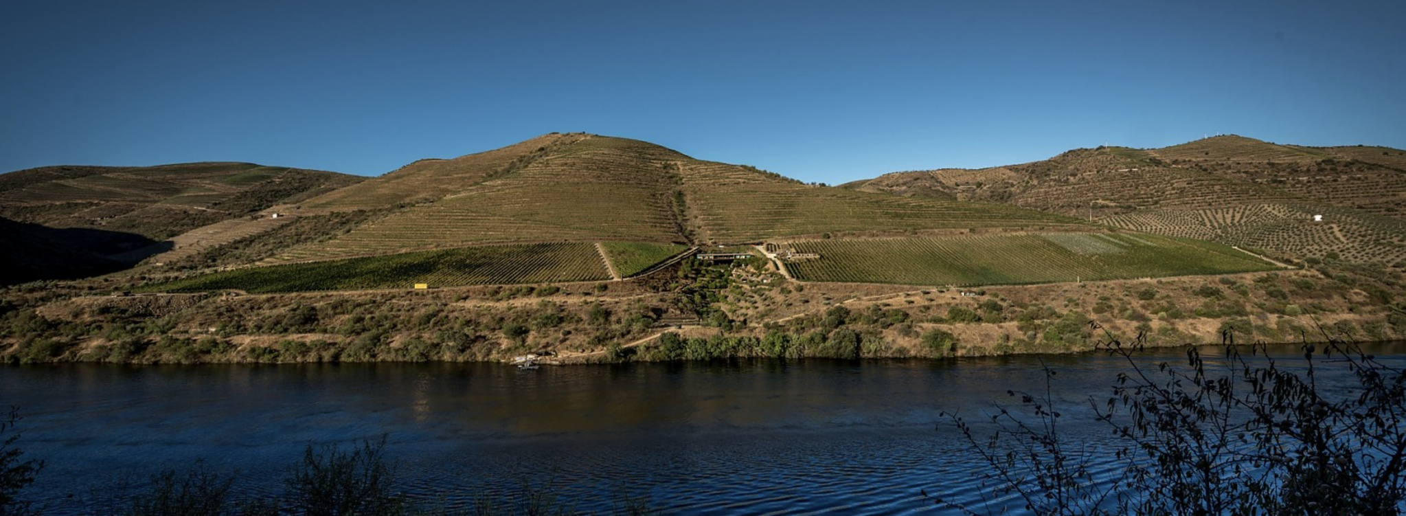 Quinta do Vallado Sousão 2019