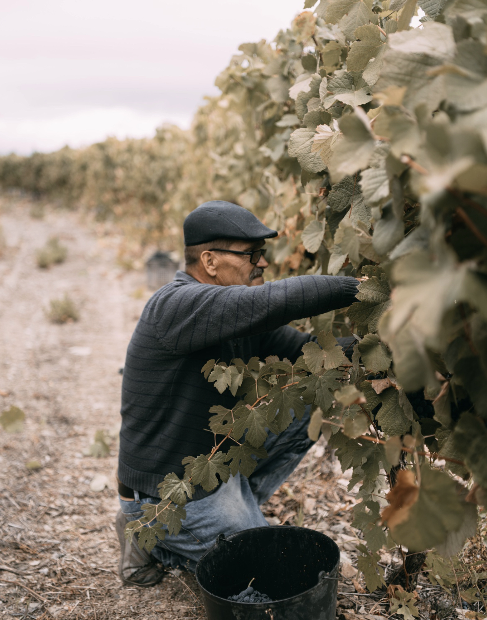 Churchill's Vintage Port 2020