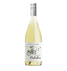 La Chica de los Pedales Sauvignon Blanc & Verdejo 2022