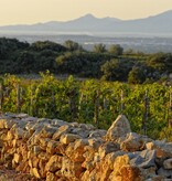 Dom Brial DOM ICI Rosé 2024