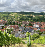 Weingut Sommerhausen Grüner Silvaner 2021