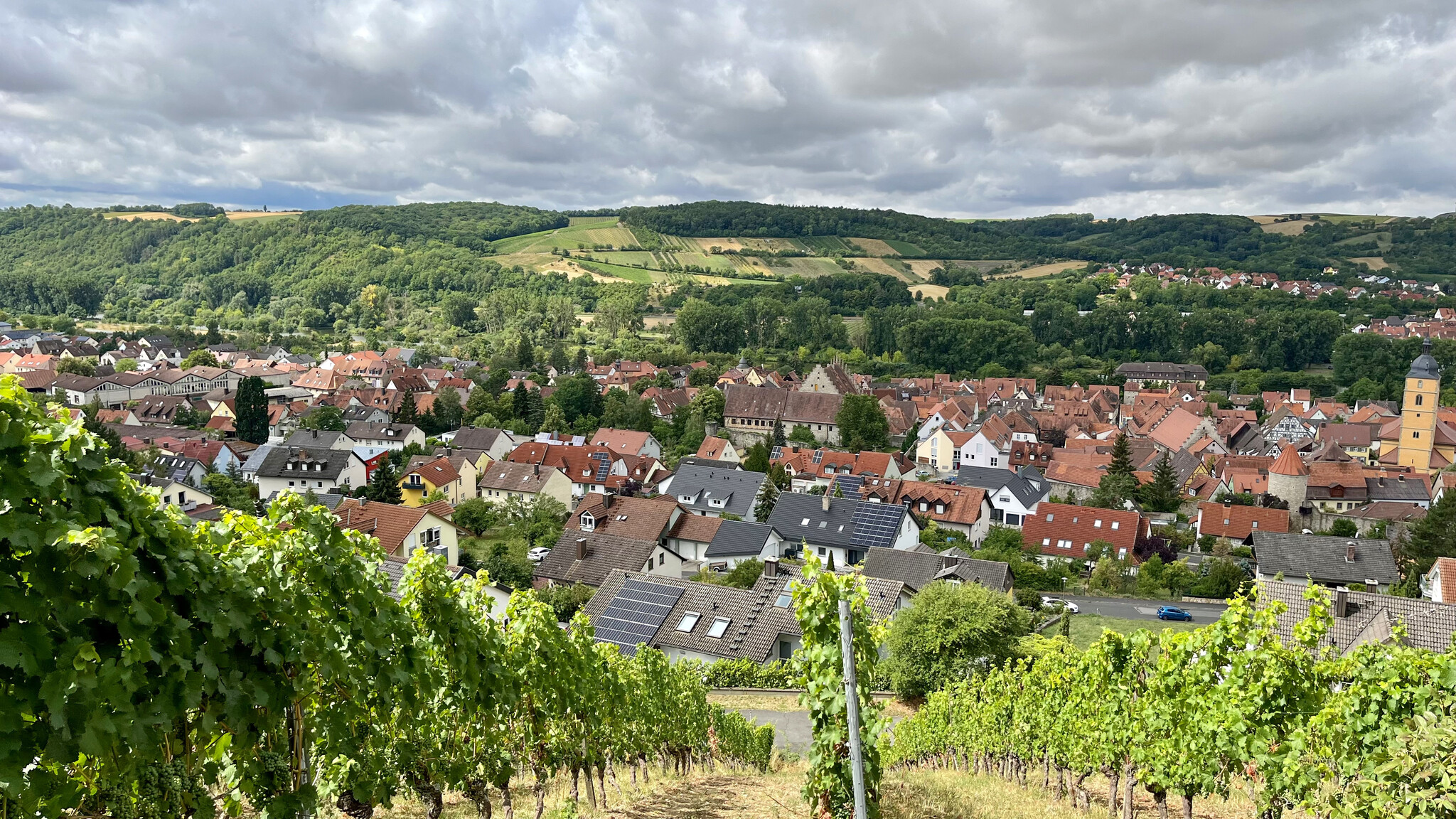 Weingut Sommerhausen Ohne viel Worte Grüner Silvaner 2021