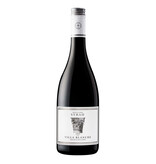 Calmel & Joseph Villa Blanche Syrah 2024