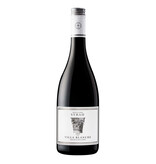 Villa Blanche Syrah 2022