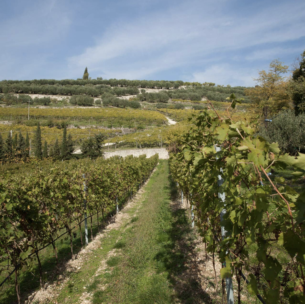 Colli Morenici Custoza DOC Superiore Giare 2021